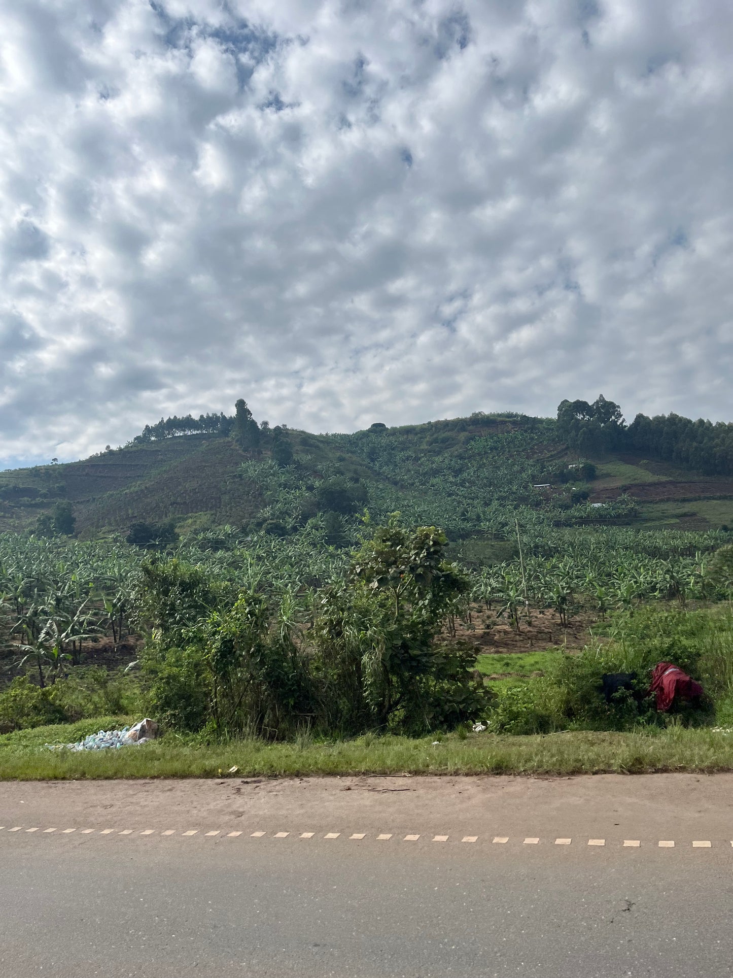 Uganda Rwenzori Bugoye Natural