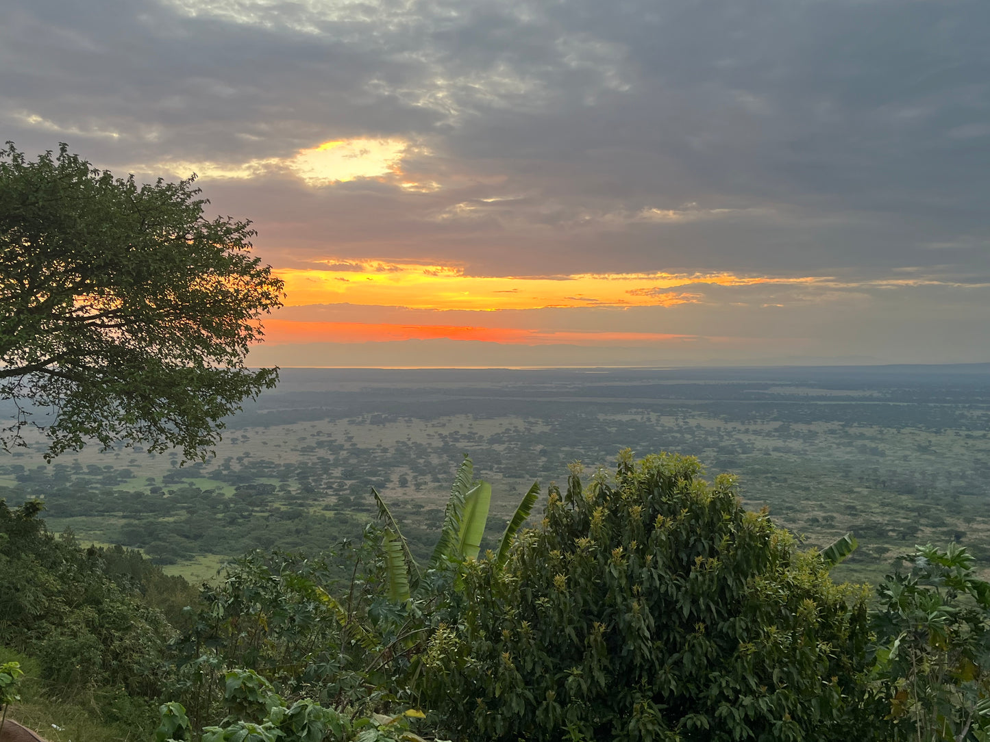 Uganda Rwenzori Bugoye Natural